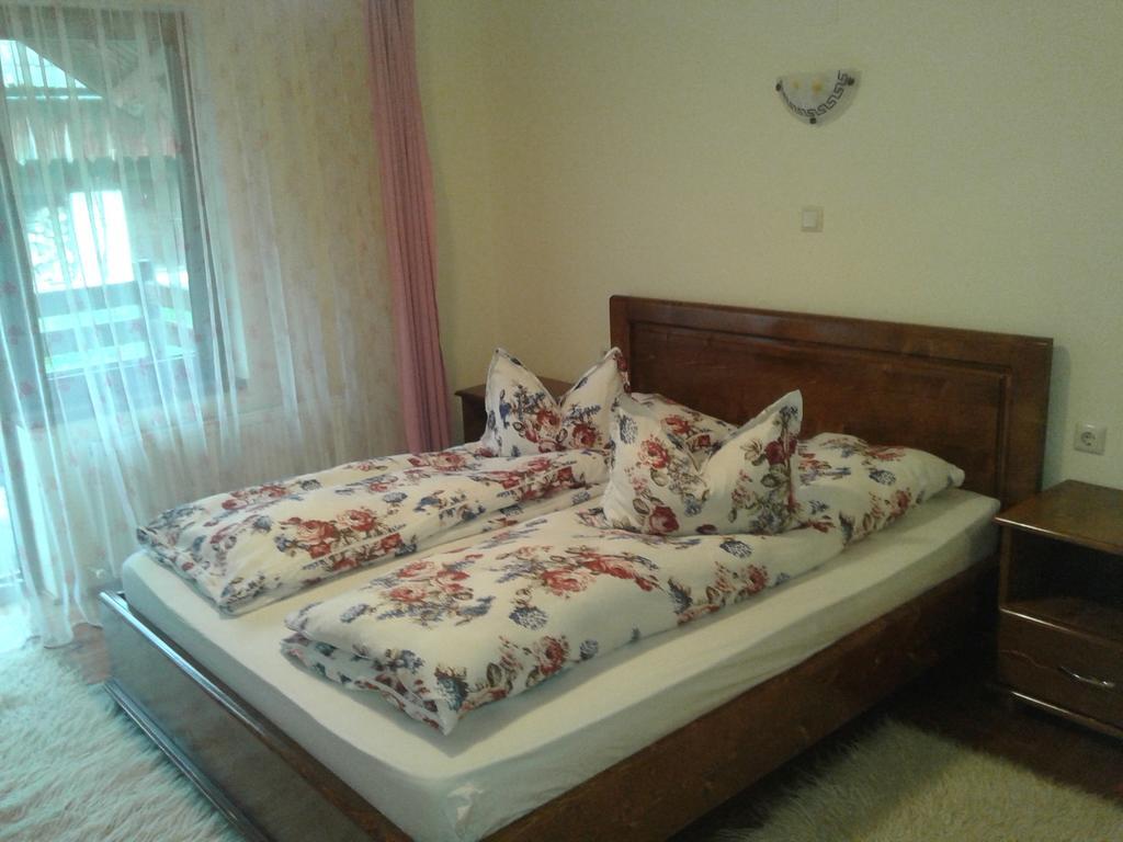 Pensiunea Sofy Arieşeni Exterior foto